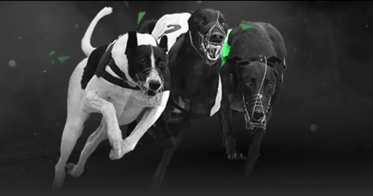 斯科尔斯无,私决定,减少解说生,开云赞助,体育赞助平台,足球赛事赞助,NBA赞助资讯,体育合作信息