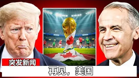 “2025世界杯：德国国家队全景解析”