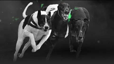 斯科尔斯无私决定：减少解说生涯，全心照料自闭症儿子