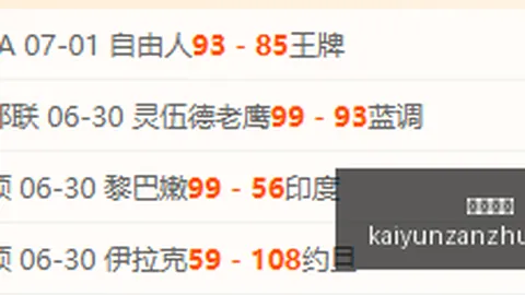 全面解析杨瀚森第三节高效爆发，9分5板3助4断4帽表现抢眼